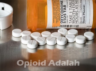 Opioid-Adalah