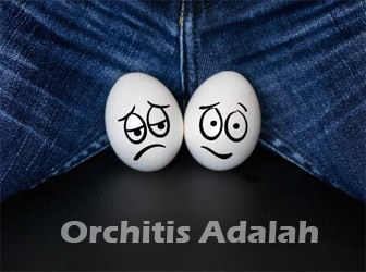 Orchitis-Adalah