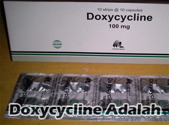 Doxycycline-Adalah