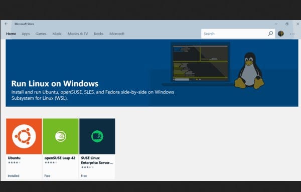 Cara Mengaktifkan WSL di Windows 10